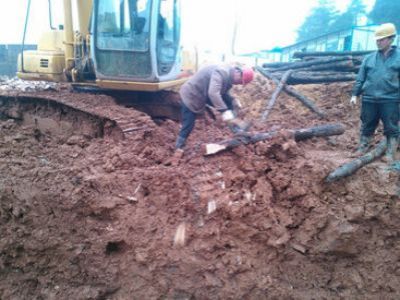 湖南金石基礎(chǔ)工程有限公司,旋挖樁施工,預(yù)應(yīng)力管樁施工,人工挖孔樁施工,沖孔樁施工,長螺旋灌注樁施工,基坑支護工程施工,錨桿錨索施工,冠梁、腰梁施工,地基強夯處理工程,廠房及道路地基強夯處理工程,高速公路地基強夯加固處理,物流園港口地坪地基強夯工程,各種綜合市場（3—6房）房屋建筑地基基礎(chǔ)處理,鐵路（含高鐵）路基加固工程,機場跑道地基加固處理工程